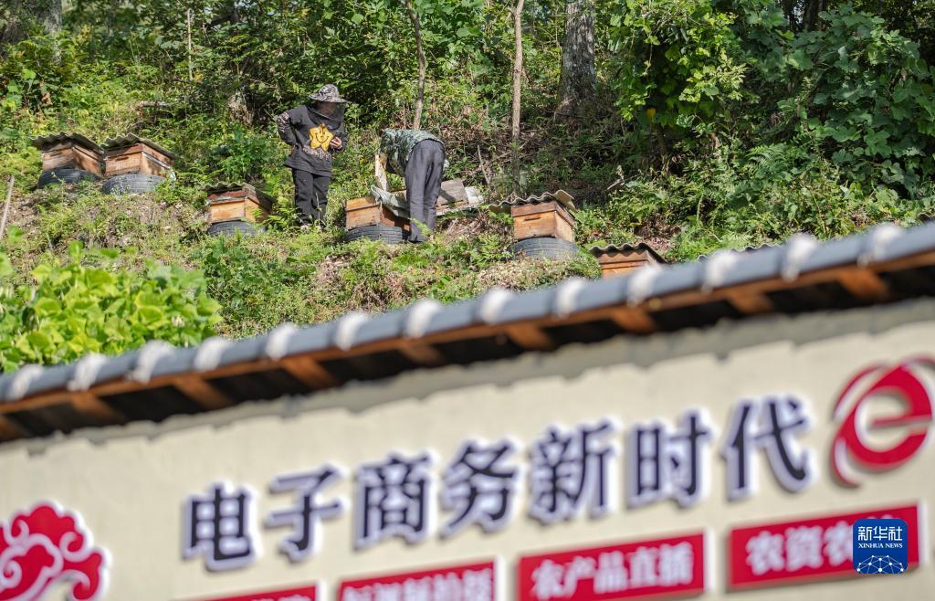 论坛白菜官网